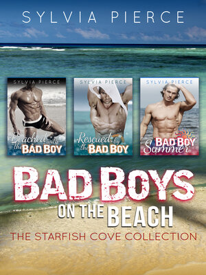 cover image of Bad Boys on the Beach
